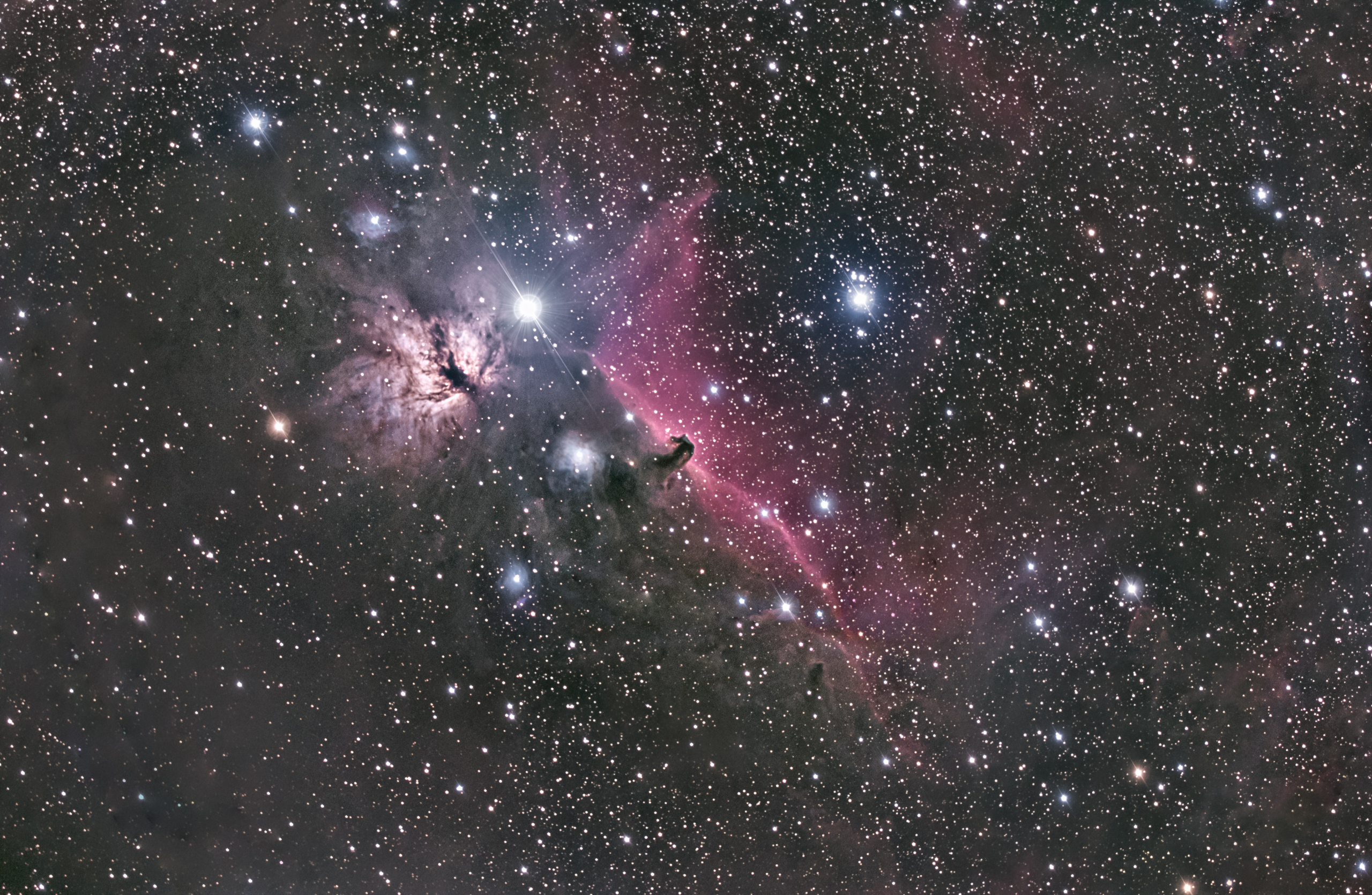 Horsehead & Flame Nebula